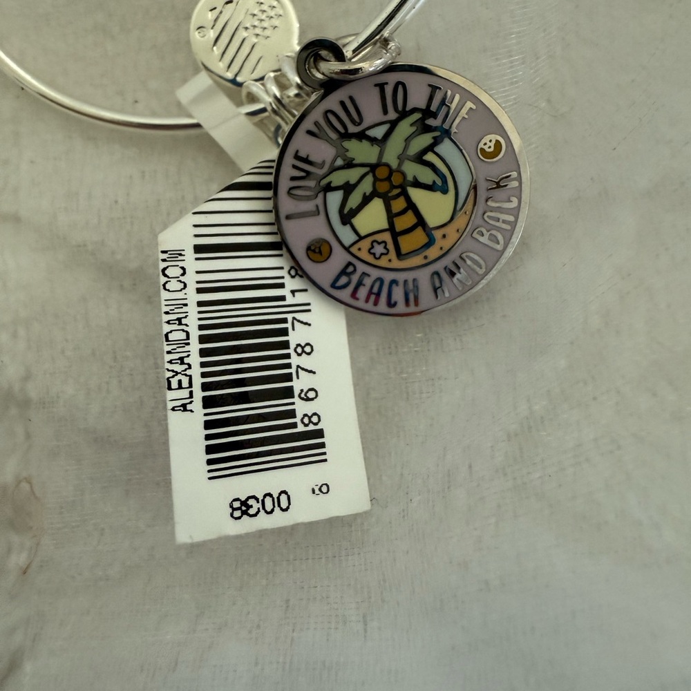 Alex and Ani Silver Bracelet with Charm
